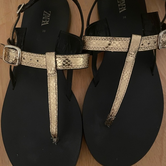 Zara - Picture 2 of 2